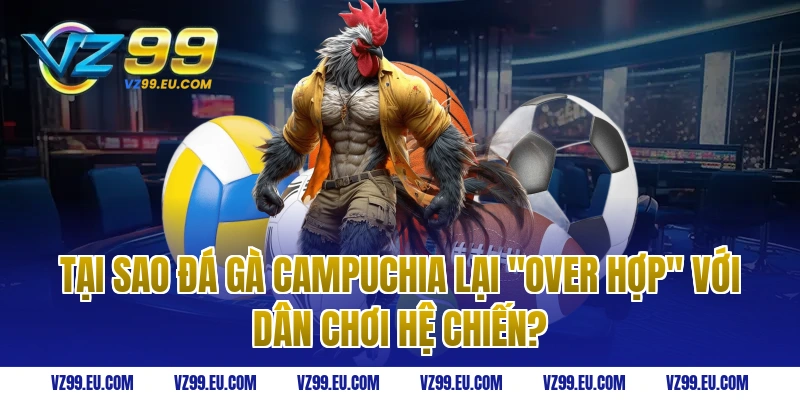 Tại sao đá gà Campuchia lại "Over hợp" với dân chơi hệ chiến?